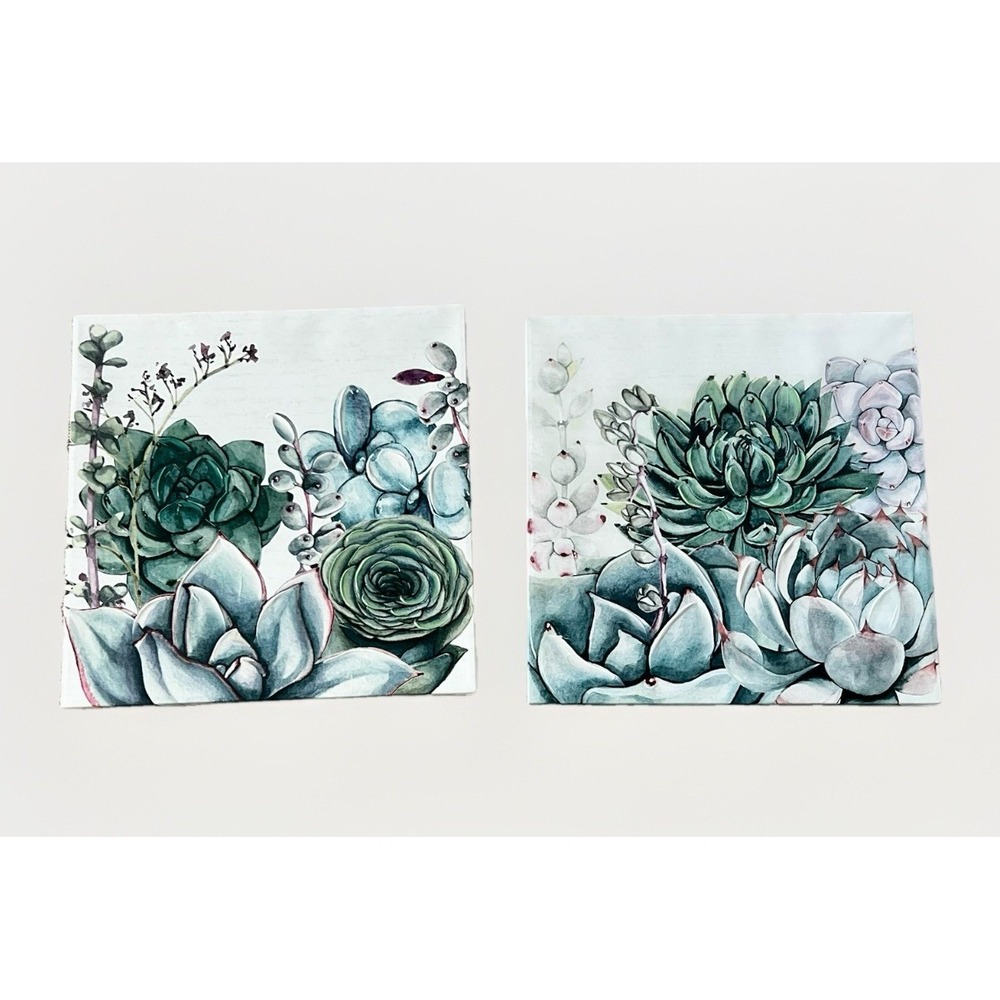 Succulent Botanical‎ Canvas Wall Art Set 2 Green Plant Prints 16x16 Gallery Wrap - Picture 3 of 6
